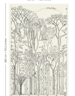 Francis Hallé, Original