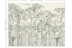 Francis Hallé, Original