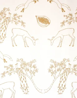 Franz, Morning Light