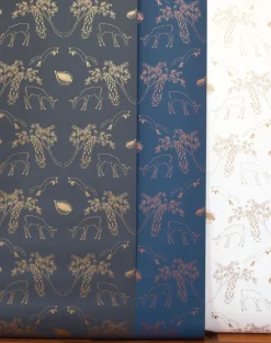 Franz, Morning Light