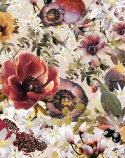 Fruits Blossom, Powder Dove