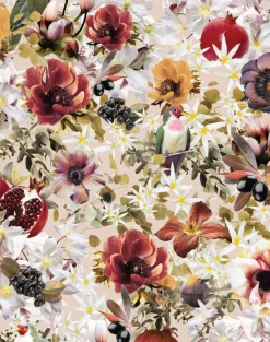 Fruits Blossom, Powder Dove