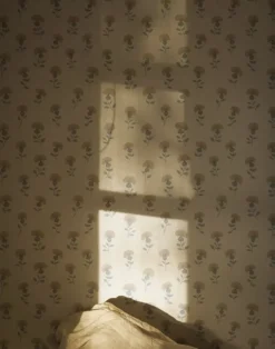 Gardenia, Overcast WPLN0084