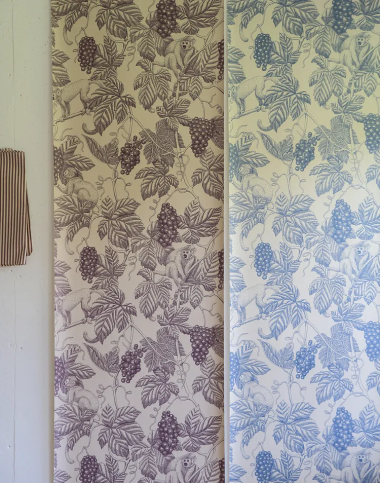 Grape Thief, Faded Denim