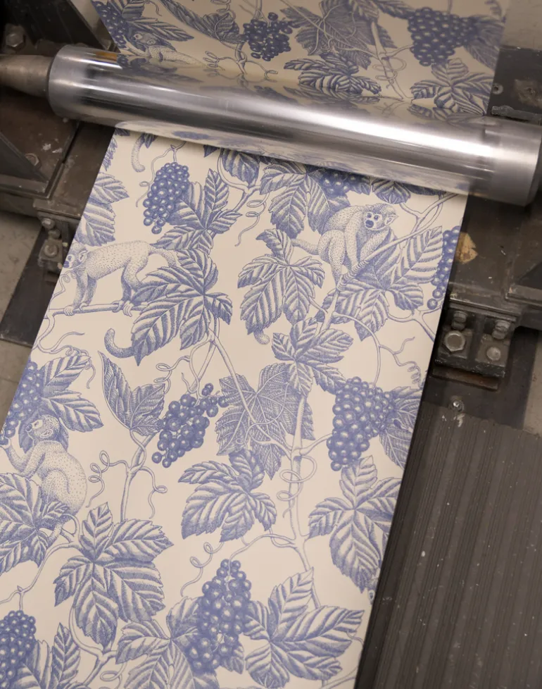 Grape Thief, Faded Denim