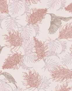 Grevillea Nectar, Blushing