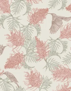 Grevillea Nectar, Radiant