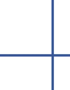 Grid - Large Bold, Line: Blue | Background: White