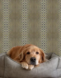 Halo Boulevard, Grey Gold