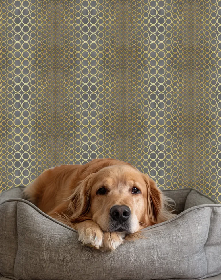 Halo Boulevard, Grey Gold