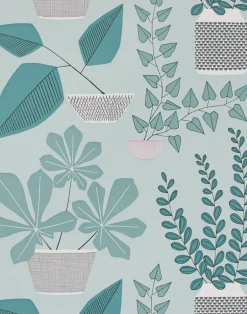 House Plants, Marina