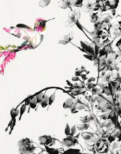 Hummingbird Black & White, Stone