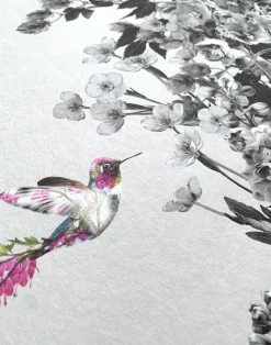 Hummingbird Black & White, Stone