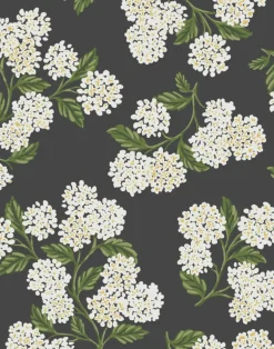 Hydrangea, Black & White RI5146