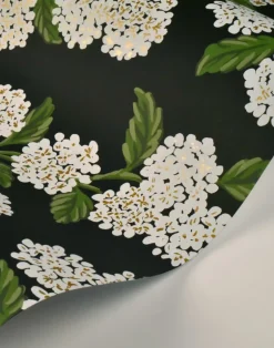 Hydrangea, Black & White RI5146