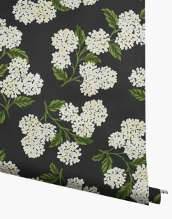 Hydrangea, Black & White RI5146