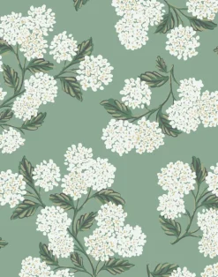 Hydrangea, Jade RI5145