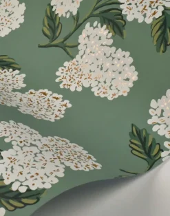 Hydrangea, Jade RI5145