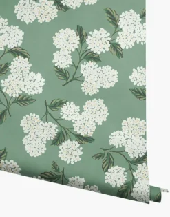 Hydrangea, Jade RI5145