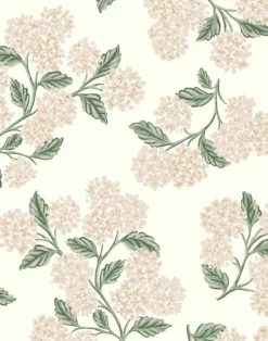 Hydrangea, White & Blush RP7393