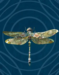 Insects Noir, Anisoptera Botanicus Petrol