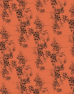 Isadore, Bonfire WPLR0108