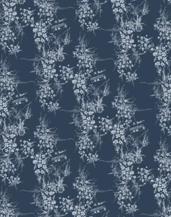 Isadore, Mediterranean Night WPLR0102