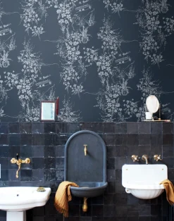 Isadore, Mediterranean Night WPLR0102