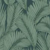 Island Frond, Botanical
