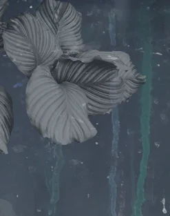 Issey - Nymph of the Waters, Grey