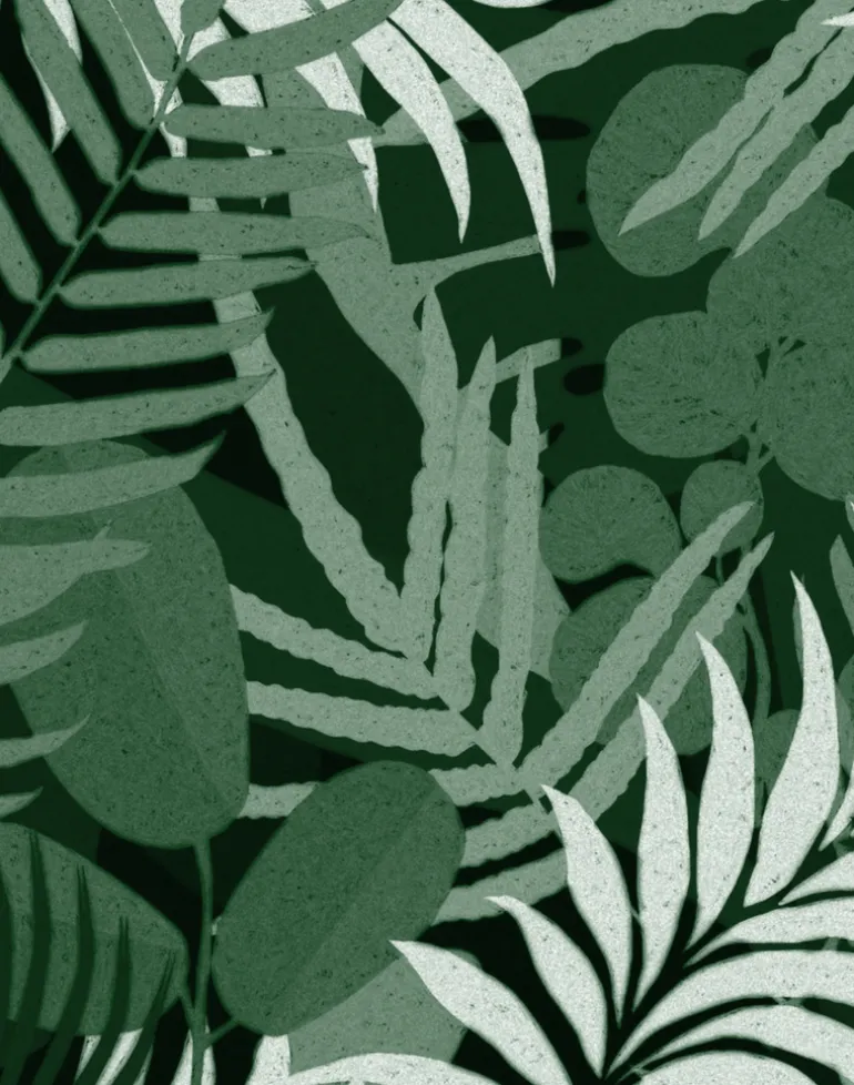 Jardin Del Sol, Green