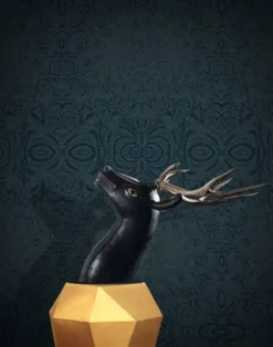 Jungle of Detail II, Night