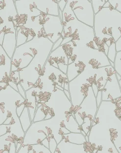 Kangaroo Paws, Flourish