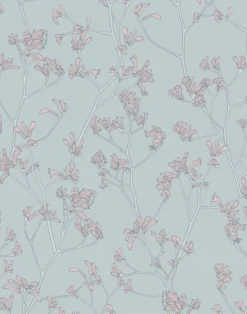 Kangaroo Paws, Sparkling