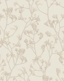 Kangaroo Paws, Sunlit