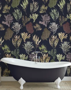 Kelp Forest, Deep Sea