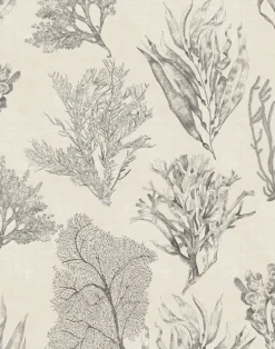 Kelp Forest, Parchment Cream