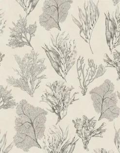 Kelp Forest, Parchment Cream