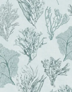 Kelp Forest, Sea Clay Grey