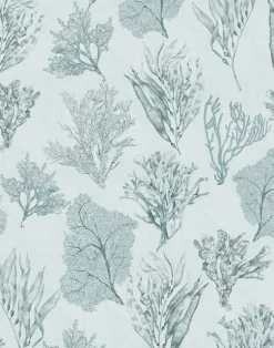 Kelp Forest, Sea Clay Grey