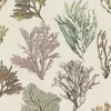 Kelp Forest, Vintage Original