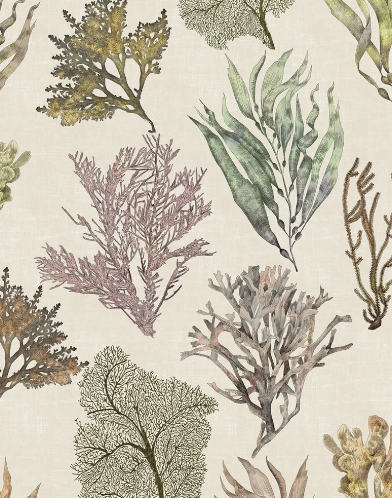 Kelp Forest, Vintage Original