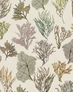 Kelp Forest, Vintage Original