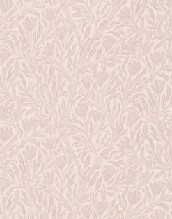 Krokus, Northern Rose