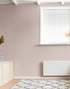 Krokus, Northern Rose