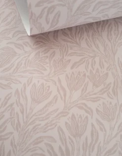 Krokus, Northern Rose