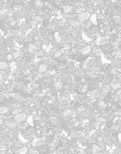 La Cueillette, Grise