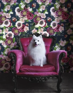 Ladybird, Mixed Dark Blue