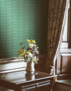 Lattice Maximal, Kombu WPLN0125