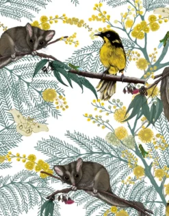 Leadbeater Forest, Yellow on White